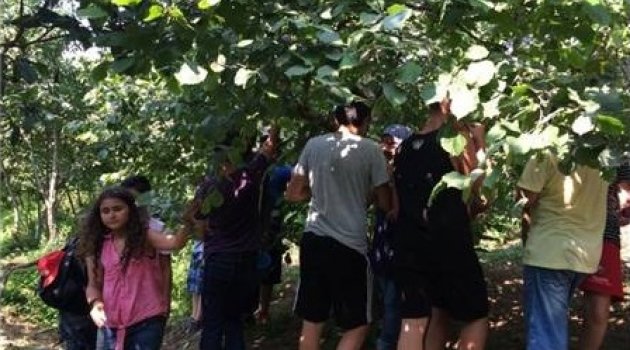 Çocuk İşçiliğine 'Hayır' Demek İçin Geldiler