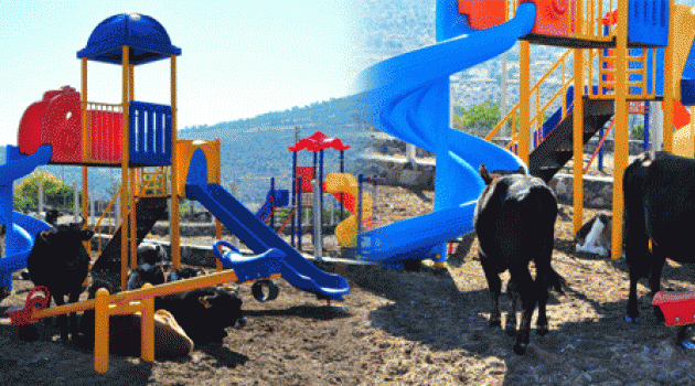 Çocuk Parkında Şaşırtan Görüntü