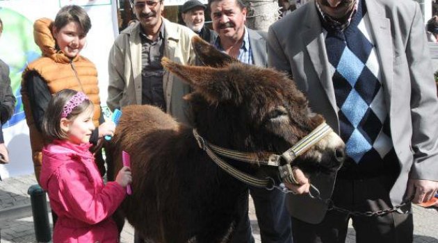 Çocuklar Çevre Eylemi İçin Getirilen Sıpayı Sevdi