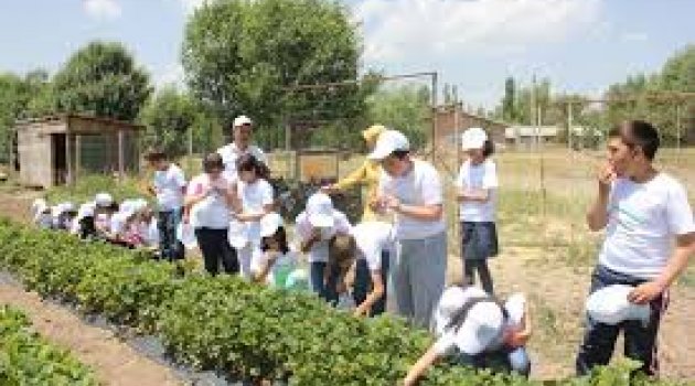 Çocuklar İçin Tarım Kampı