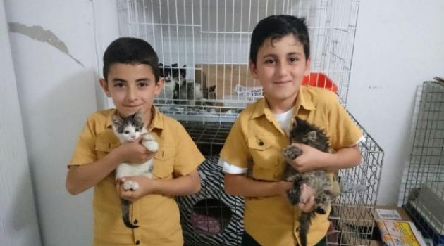 Çocuklar kurtardıkları kedileri ziyaret etti
