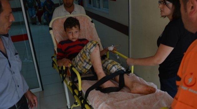 Derede Serinlemek İsterken Yılan Isırdı