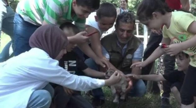 Engelli çocuklar hayvanlarla buluştu