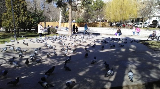 Eskişehir’de Çocuklar Parklara Koştu