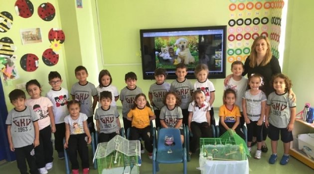 GKV Anaokulu Öğrencilerinin Hayvan Sevgisi