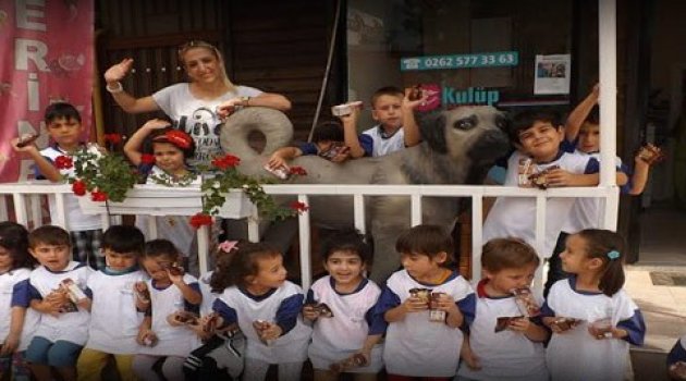 Hayvanlar alemine neşeli yolculuk