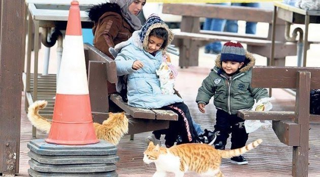 ‘Her 10 saatte bir çocuk ölüyor!’