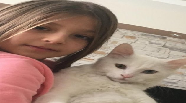 Her Yerde Kaybolan Kedisini Arıyor