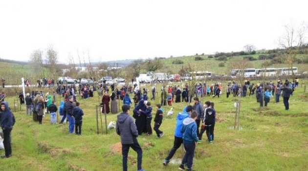 İBB Futbol Akademisi Öğrencileri Hatıra Ormanı Oluşturdu