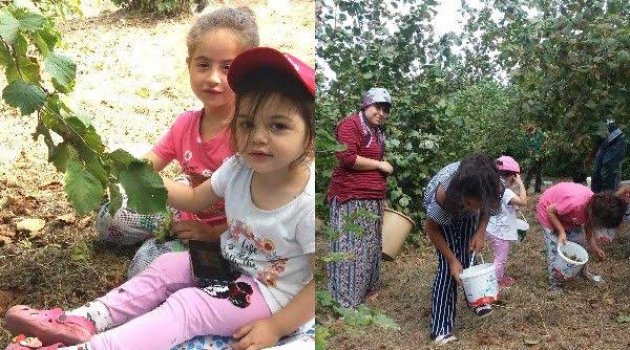 Kandıralı çocuklar, tatilde ailelerine yardım ediyor