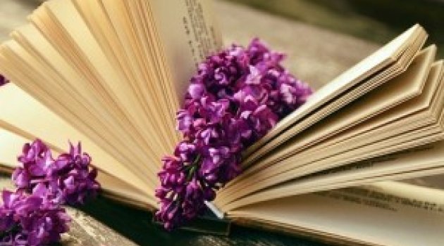 Kitap Okumanın Faydaları ve Beyin Gelişimine Etkisi