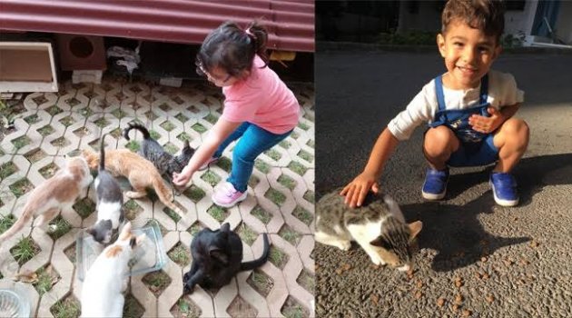 Kreşli minikler, sevimli dostlar için mama dağıttı
