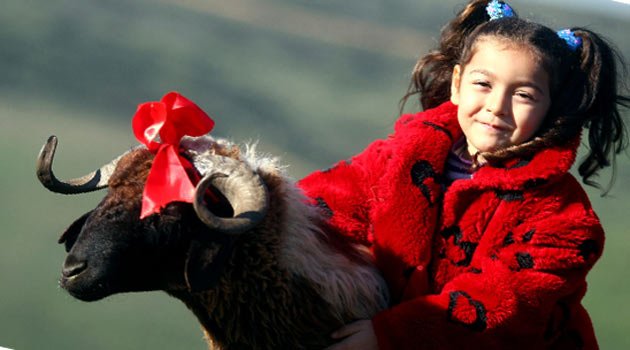 Kurban Bayramınız Kutlu Olsun