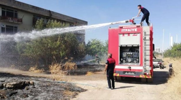 Lastikleri ateşe veren çocuklar ağaçları yaktı