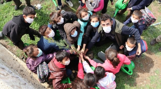 Mardin’de öğrenciler okul bahçesine fidan dikti