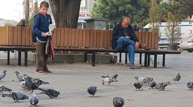 Meydanları Dolduran Güvercinlere Çocuklardan Yoğun İlgi