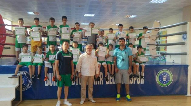 Minik boksörlerde sertifika heyecanı