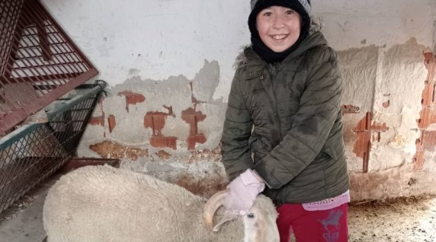 Minik Ecenaz eliyle beslediği kuzusunu bağışladı