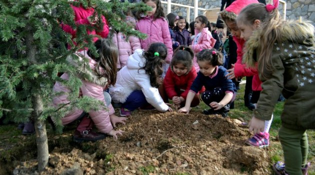 Minik Ellerden Afrin Şehidi İçin Fidan