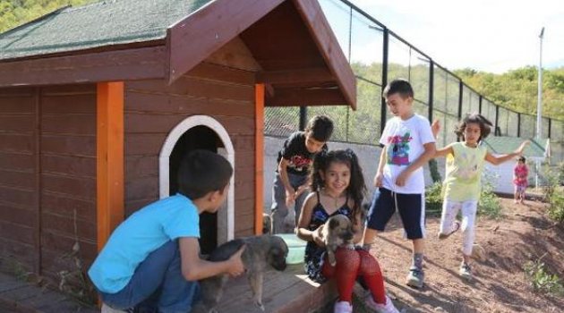 Minik Öğrencilerden Koruma Altındaki Hayvanlara Yakın İlgi