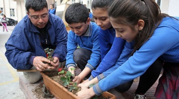 Minik Öğrencilere Organik Tarım Yapma Fırsatı