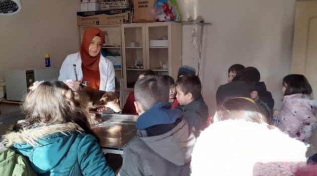 Minikler barınaktaki dostlarını unutmadı