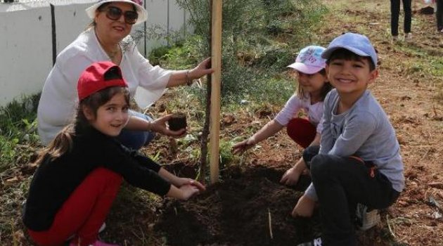 Minikler Koruluk Oluşturdu