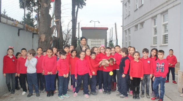 Minikler 'Paşa'yı çok sevdi