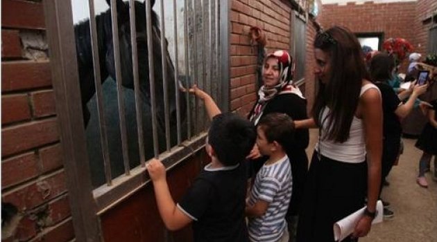 Miniklerin atlarla ilk deneyim heyecanı