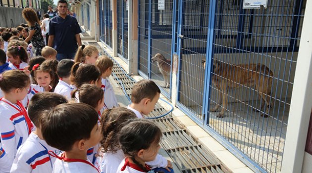 Nilüferli Minikler Can Dostlarıyla Buluştu