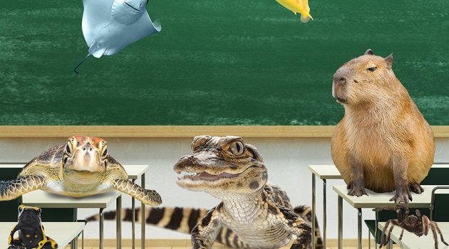 Okul döneminde çocuklara en güzel motivasyon