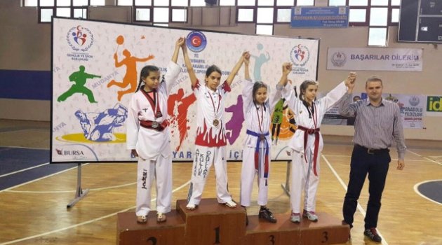 Osmangazili Taekwondocular Damga Vurdu