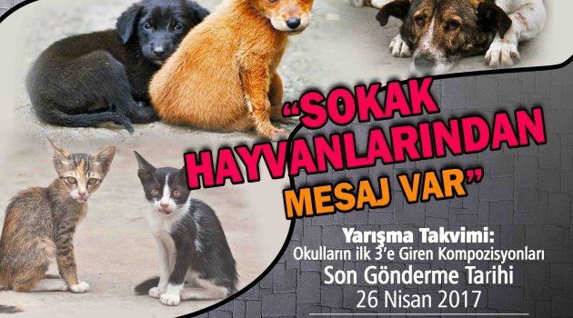 “Sokak Hayvanlarından Mesaj Var”