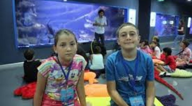 Suyun Altında Renkli Yaşam