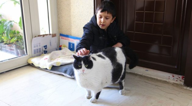 'Tombalak' İçin El Ele Verdiler