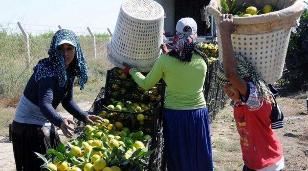 Türkiye'de 100 Bine Yakın Çocuk İşçi Var