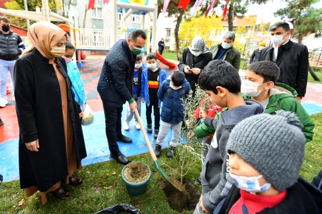 Yeni doğan her çocuk için bir zeytin fidanı dikiliyor
